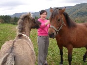 Jazda konna Bieszczady